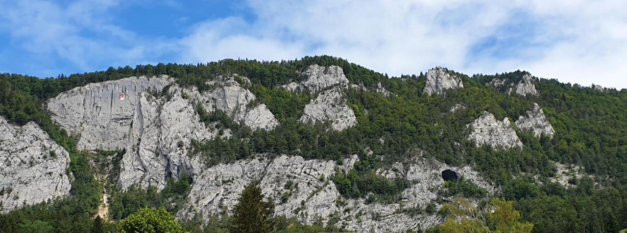 Hotel Gasthof Kreuz Welschenrohr Екстериор снимка