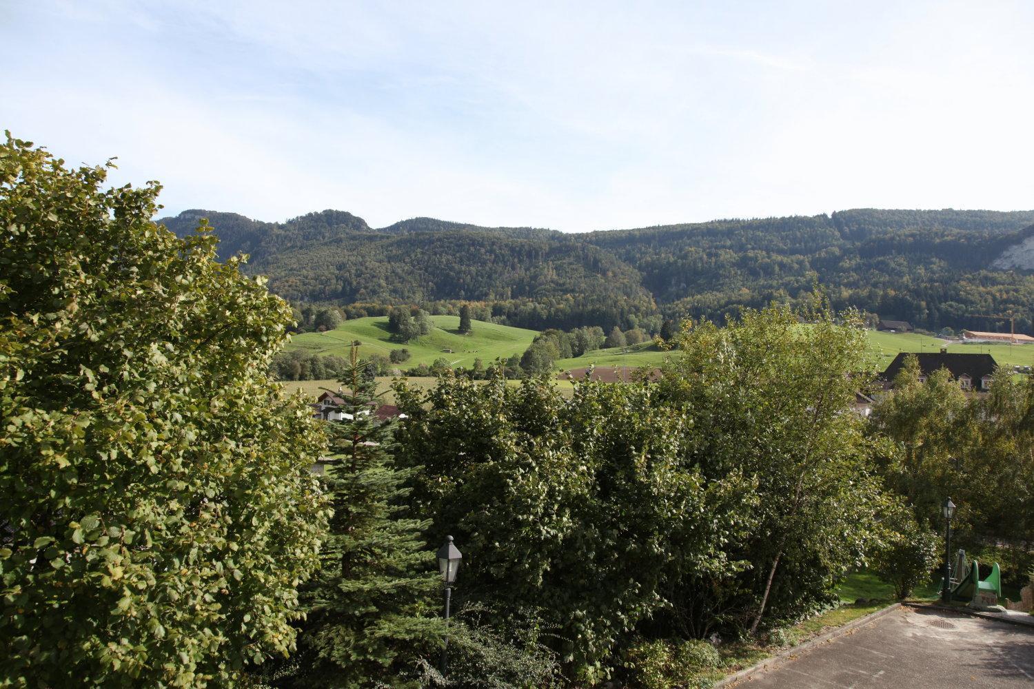 Hotel Gasthof Kreuz Welschenrohr Екстериор снимка